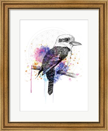 Framed Kookaburra Print