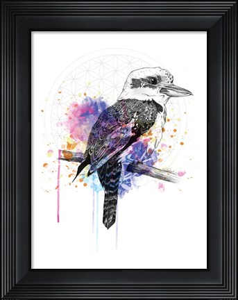 Framed Kookaburra Print