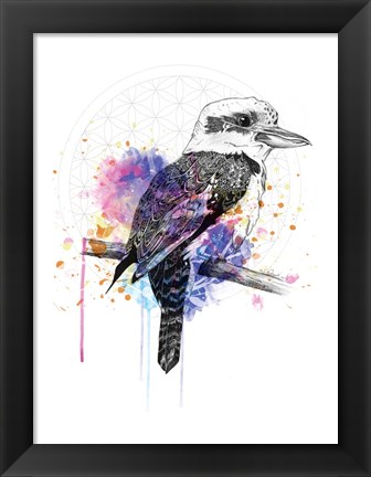 Framed Kookaburra Print