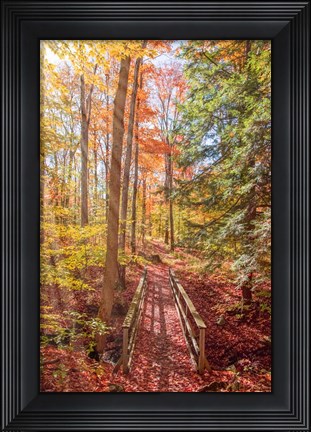 Framed Forest Bridge Print