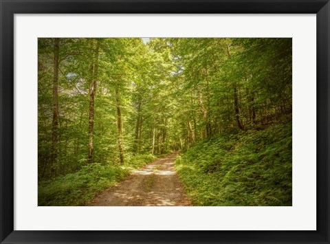 Framed Forest Road Print