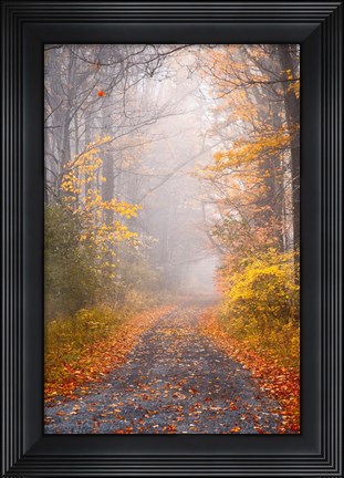 Framed Road and Autumn Mist Print