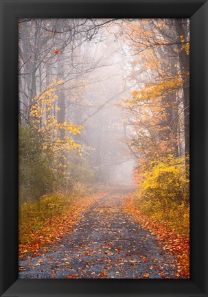 Framed Road and Autumn Mist Print