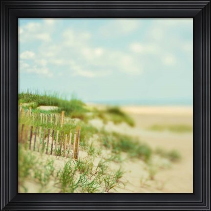 Framed Sand Dunes Print
