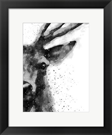 Framed Deer At Attention Print