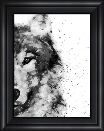Framed Wolf At Attention Print