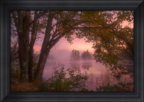 Framed Framed Print