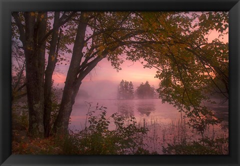 Framed Framed Print