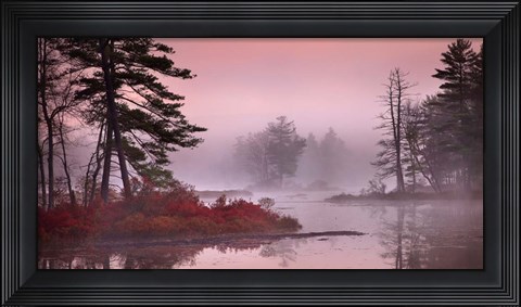 Framed Pink Fog Print