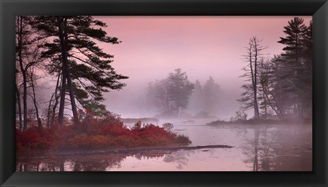 Framed Pink Fog Print