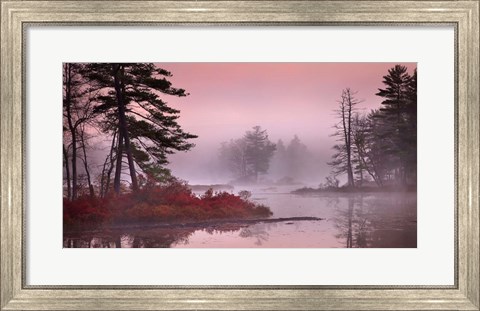 Framed Pink Fog Print