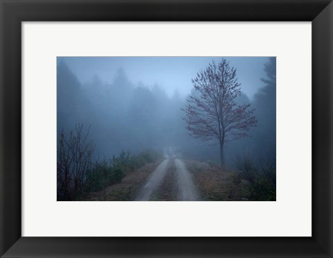 Framed Spring Fog Print