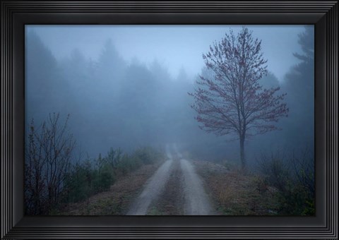 Framed Spring Fog Print