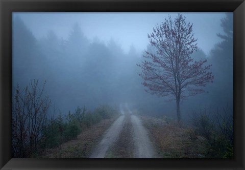 Framed Spring Fog Print