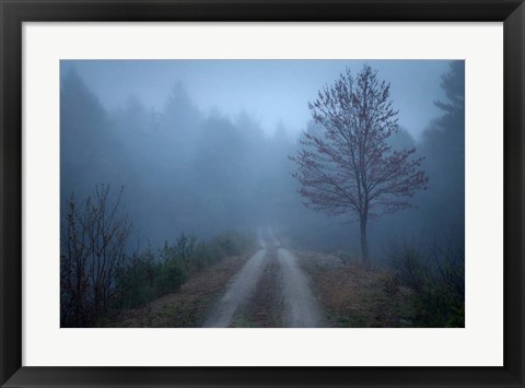 Framed Spring Fog Print