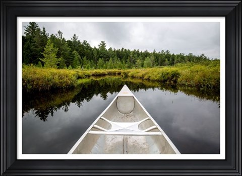 Framed Lily Pond Print