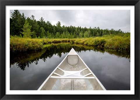 Framed Lily Pond Print