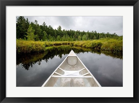 Framed Lily Pond Print