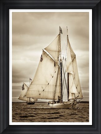 Framed Racing Downwind Wing-on-Wing Print