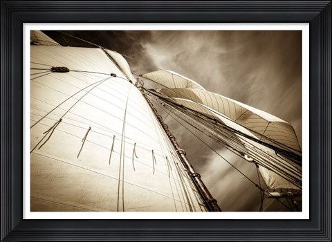 Framed All Sails Set Print