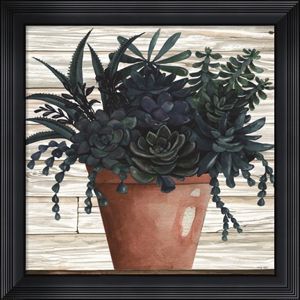 Framed Remarkable Succulents III Print