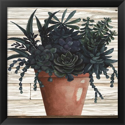 Framed Remarkable Succulents III Print