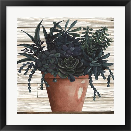 Framed Remarkable Succulents III Print