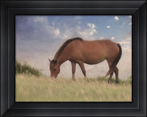 Framed Assataegue Horse Print