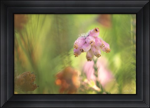 Framed Heather Print
