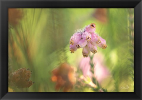 Framed Heather Print