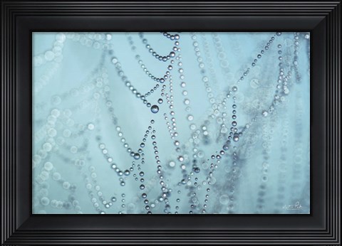 Framed Nature&#39;s Jewels I Print