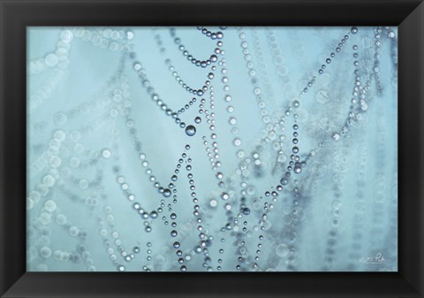 Framed Nature&#39;s Jewels I Print