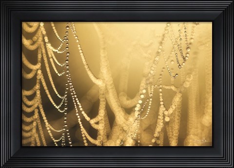 Framed Nature&#39;s Jewels II Print