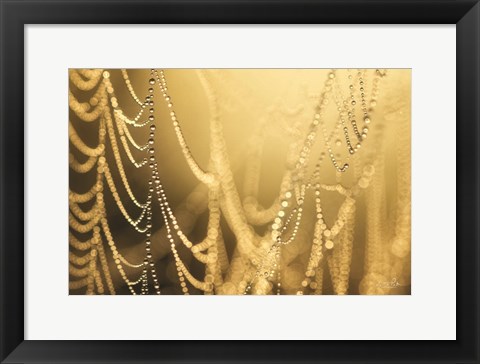 Framed Nature&#39;s Jewels II Print