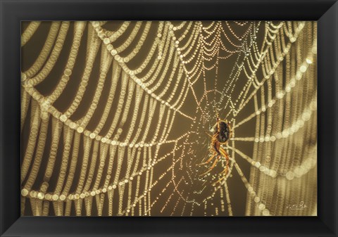 Framed Spider and Her Jewels Print