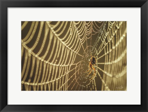 Framed Spider and Her Jewels Print