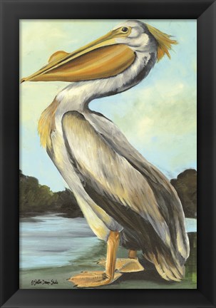 Framed Grand Pelican Print