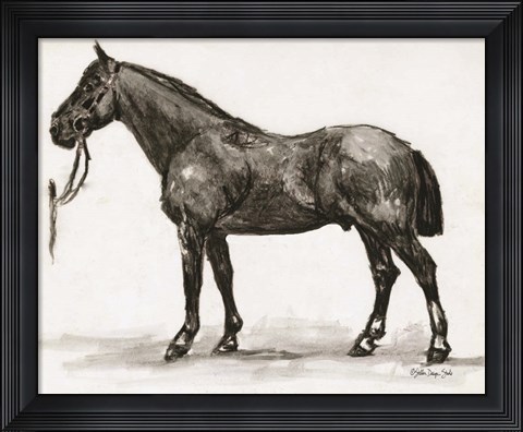 Framed Horse Study 4 Print