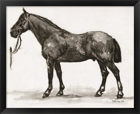 Framed Horse Study 4 Print