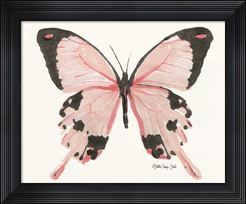 Framed Butterfly 1 Print