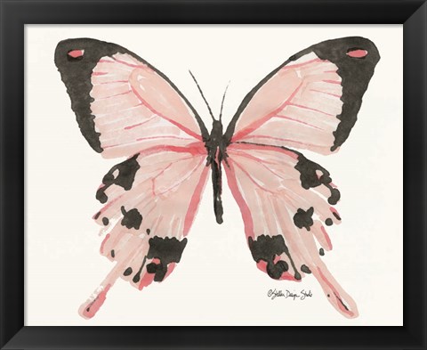 Framed Butterfly 1 Print