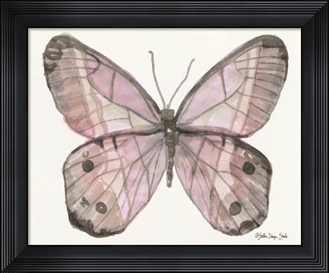 Framed Butterfly 5 Print