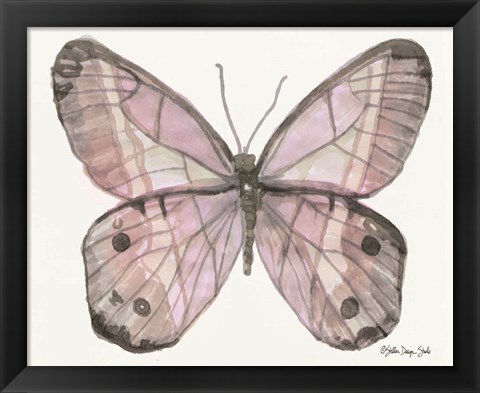 Framed Butterfly 5 Print