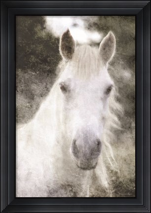 Framed White Horse Mystique Print