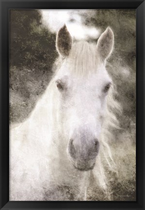 Framed White Horse Mystique Print