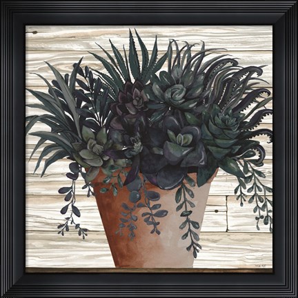 Framed Remarkable Succulents I Print