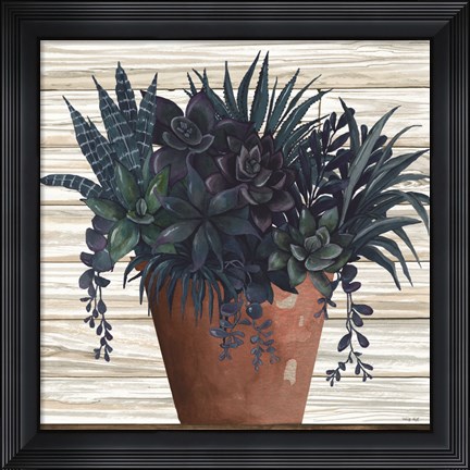 Framed Remarkable Succulents II Print