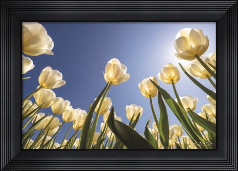 Framed Look Up in White Print