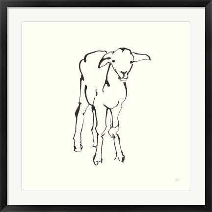 Framed Line Lamb Print