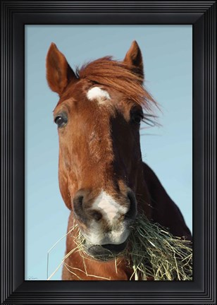 Framed Feeding Time Print